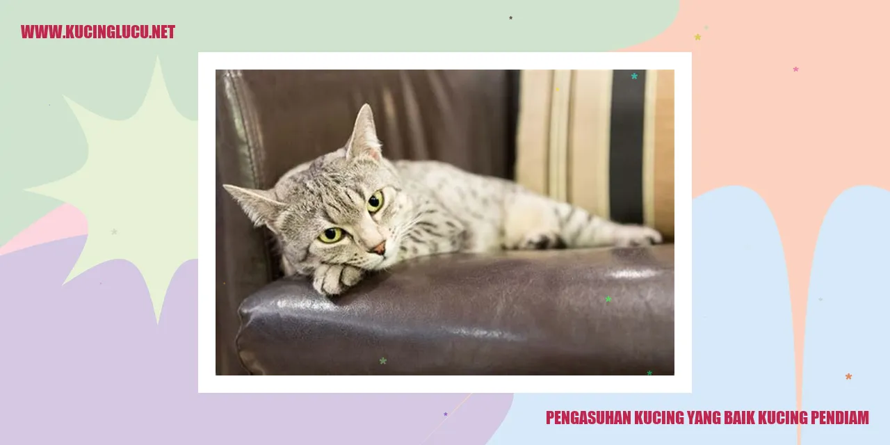 kucing pendiam