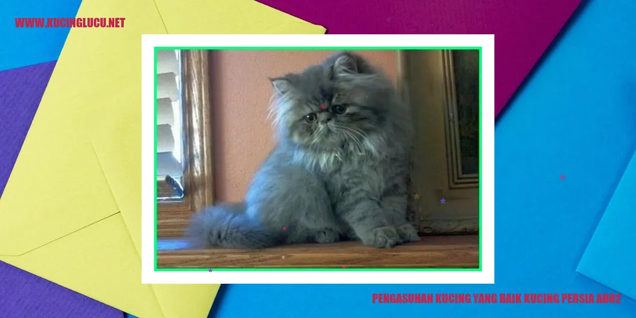 Kucing Persia Abu-Abu yang Menawan