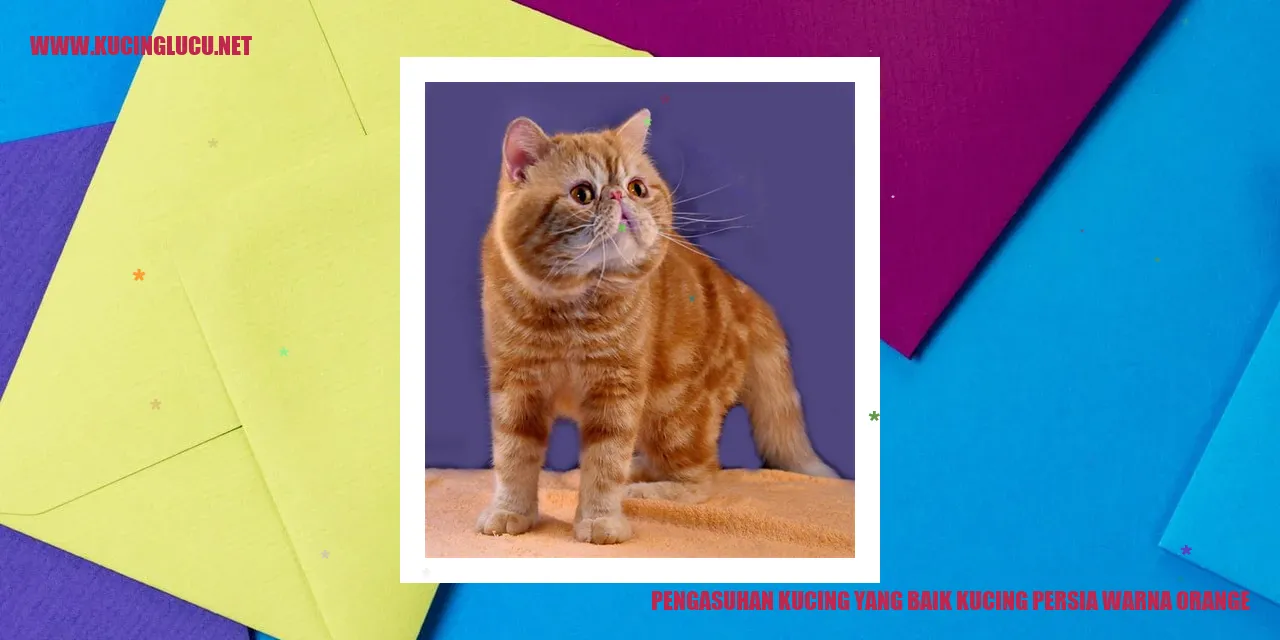 Pengasuhan Kucing yang Baik kucing persia warna orange
