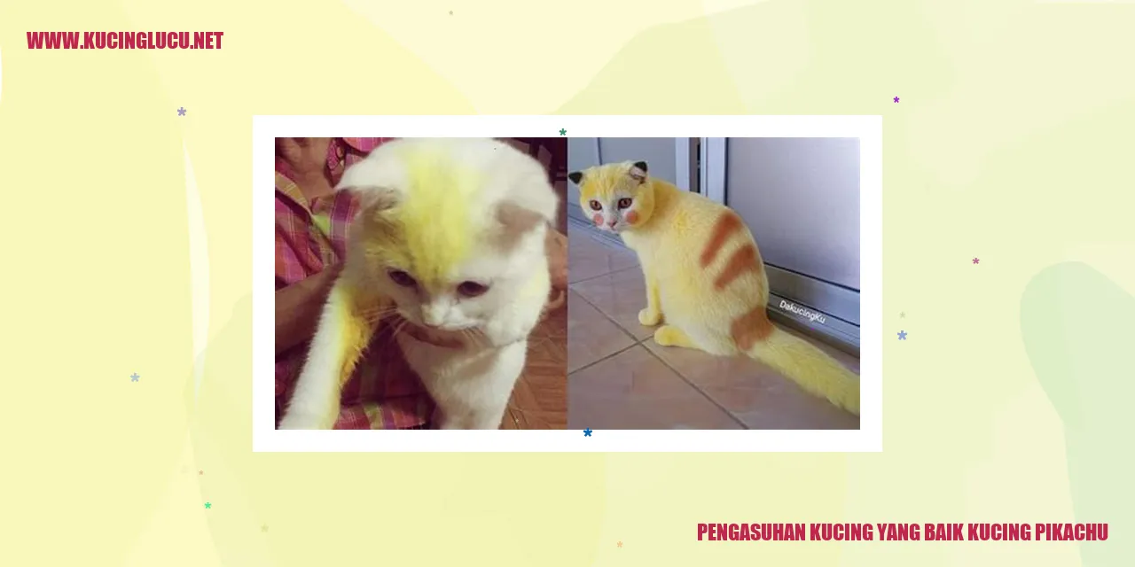 Kucing Pikachu
