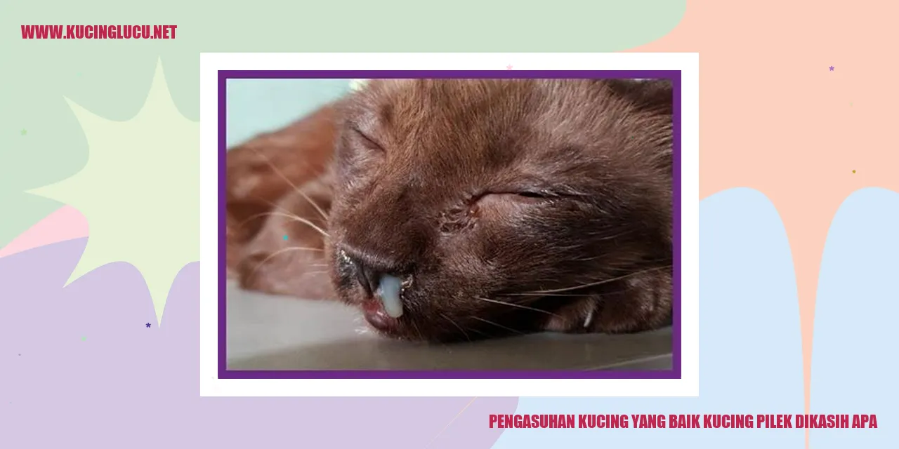 Kucing pilek