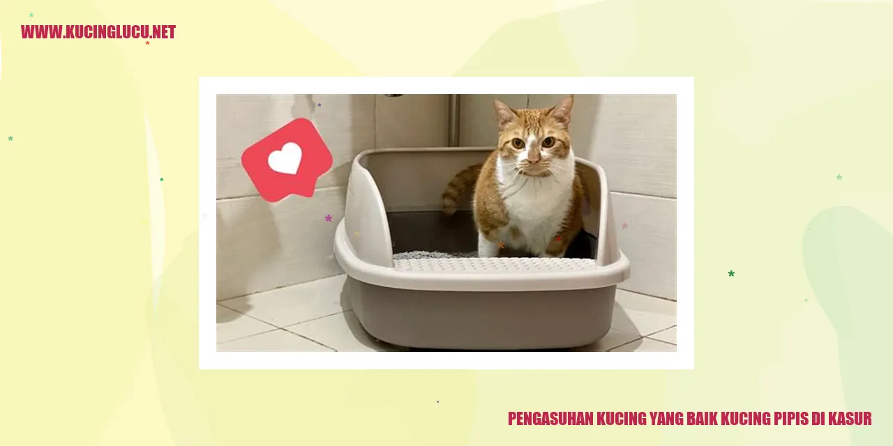 Kucing Pipis di Kasur