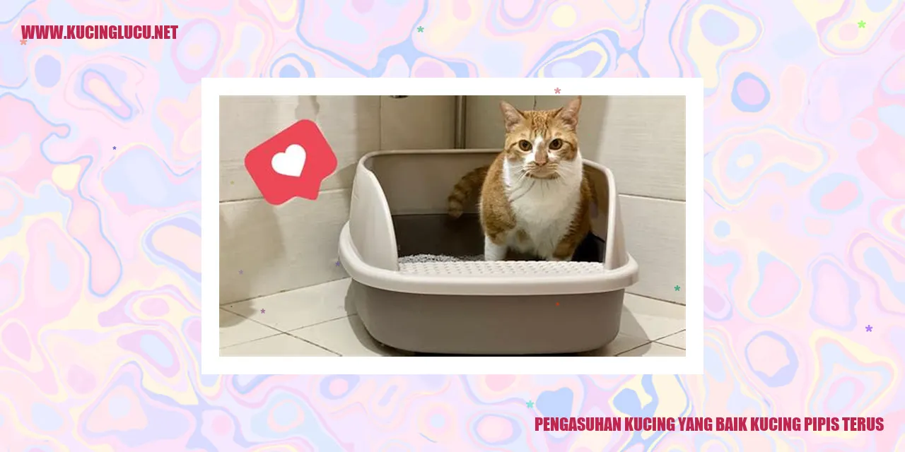 Ilustrasi Kucing Pipis