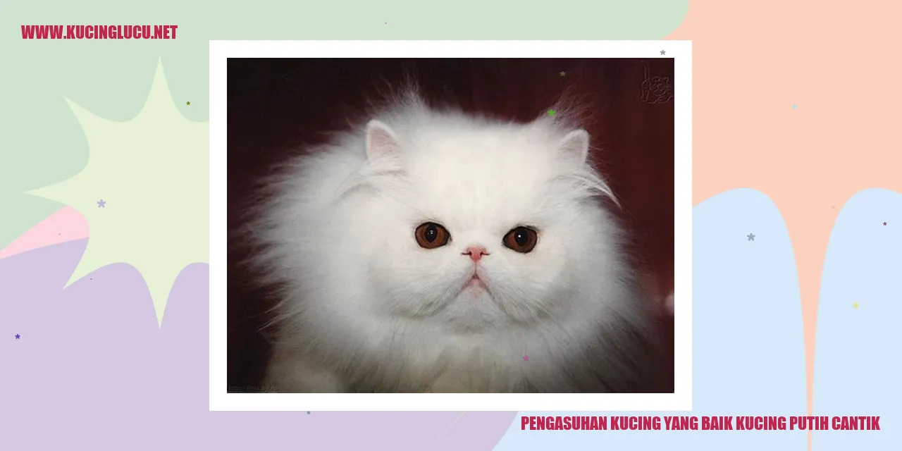 Kucing putih yang menggemaskan