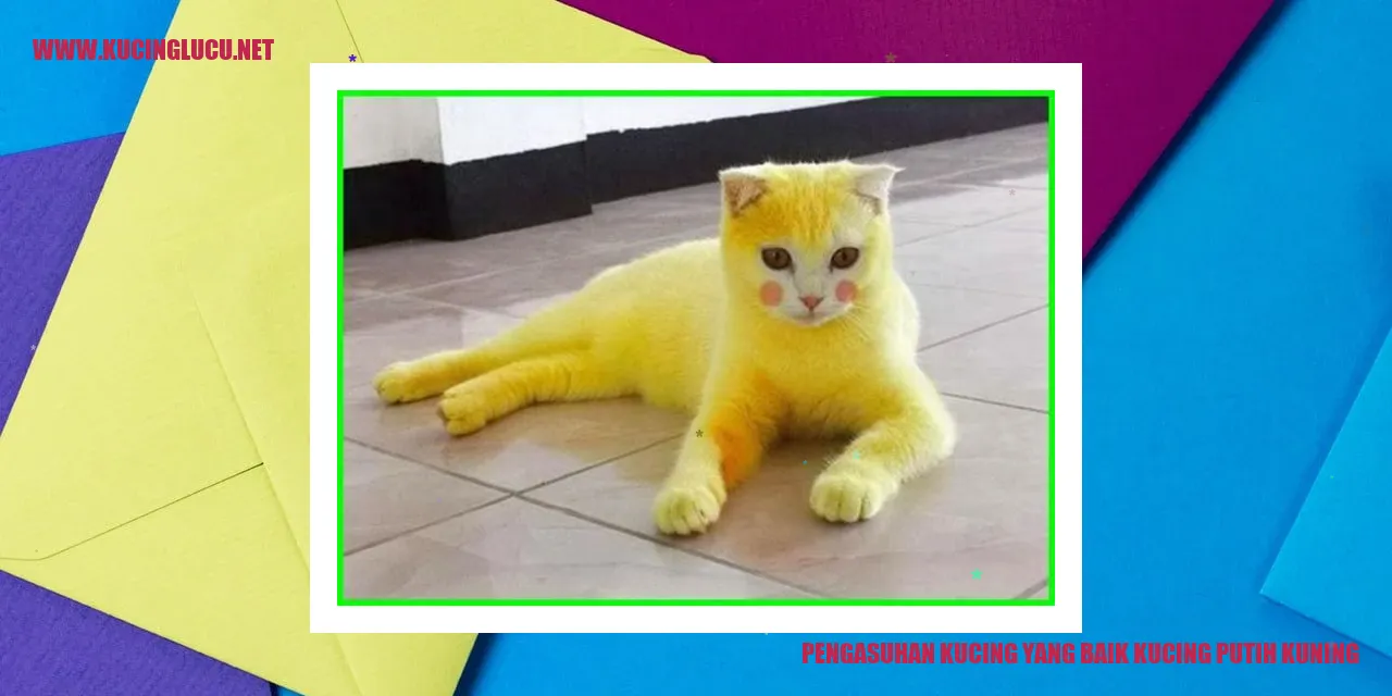 Pengasuhan Kucing yang Baik