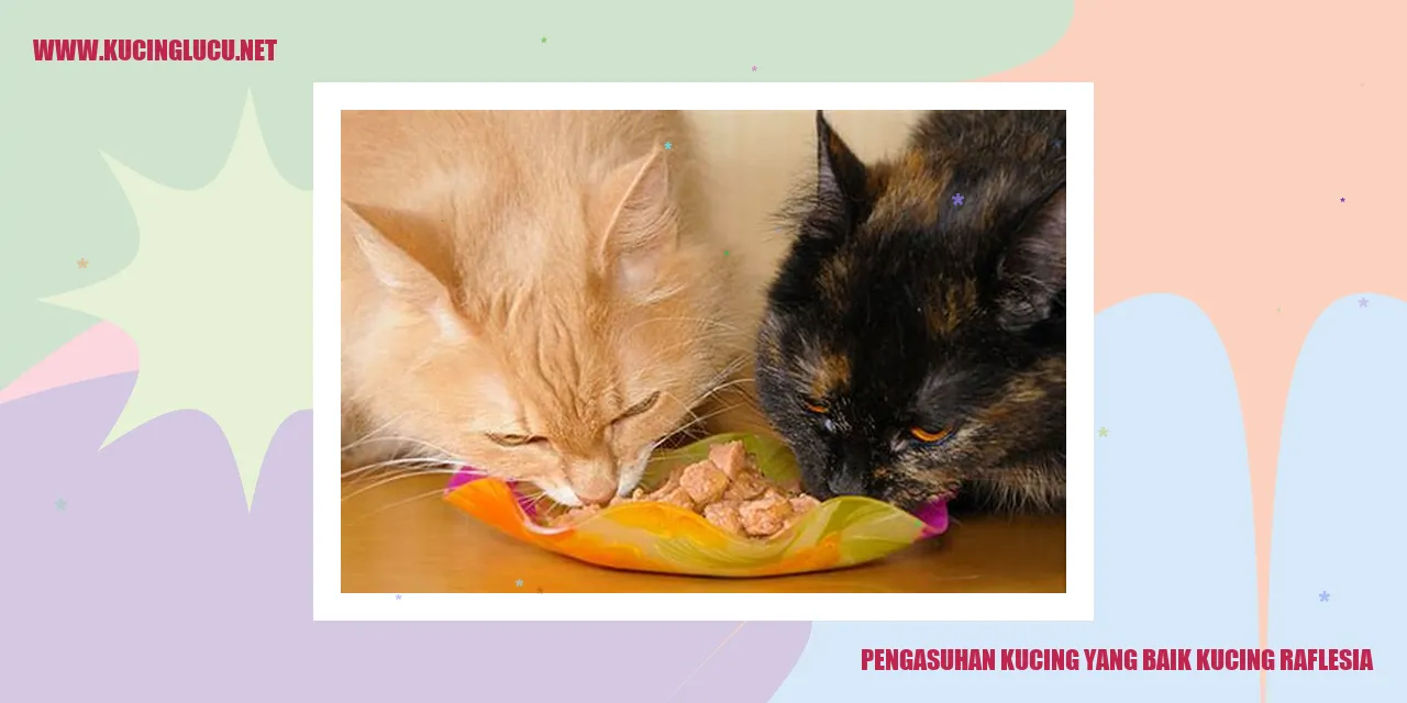 Kucing Raflesia
