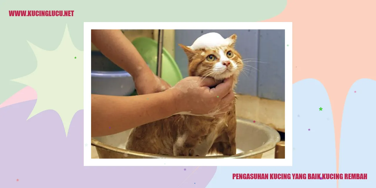 Ilustrasi Kucing