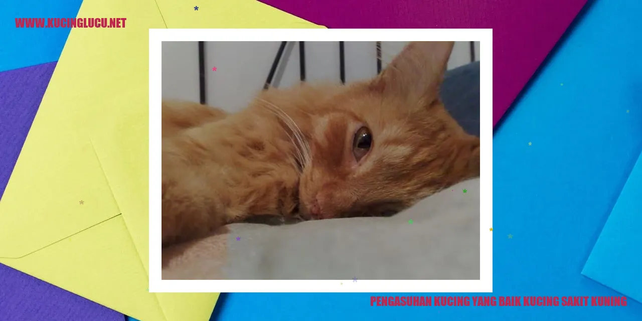 Pengasuhan Kucing yang Baik: Melindungi Kucing dari Hepatic Lipidosis