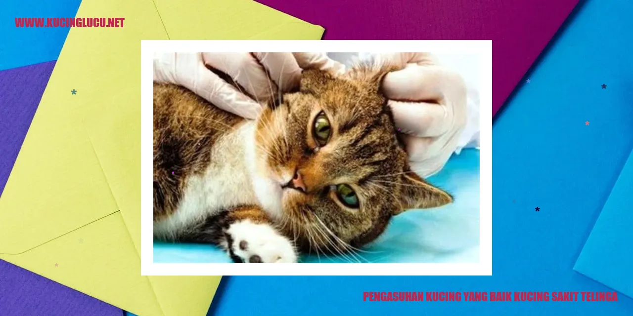 Pengasuhan Kucing yang Baik