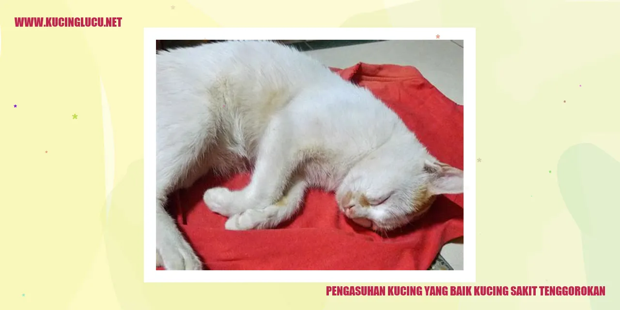 Kucing merasa sakit tenggorokan