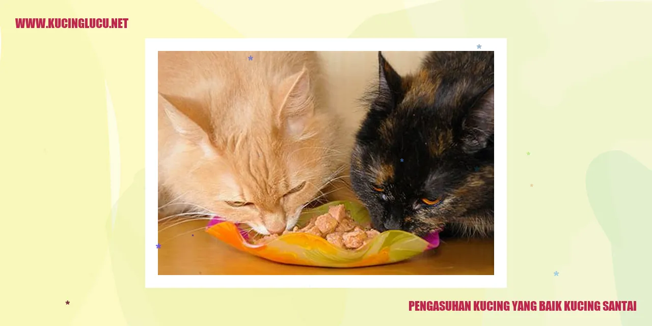 gambar kucing santai