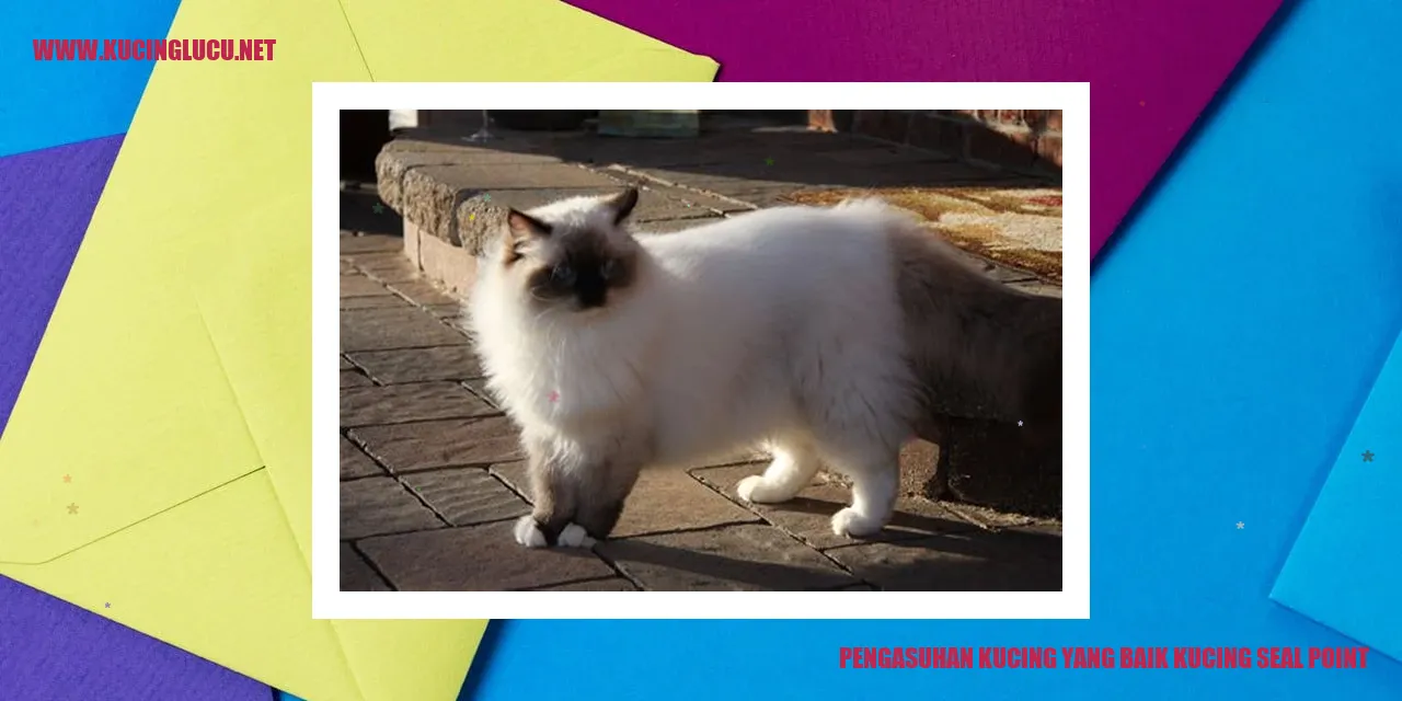 Kucing Seal Point