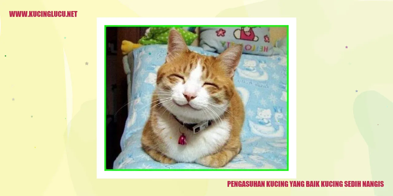 Gambar Kucing Sedih