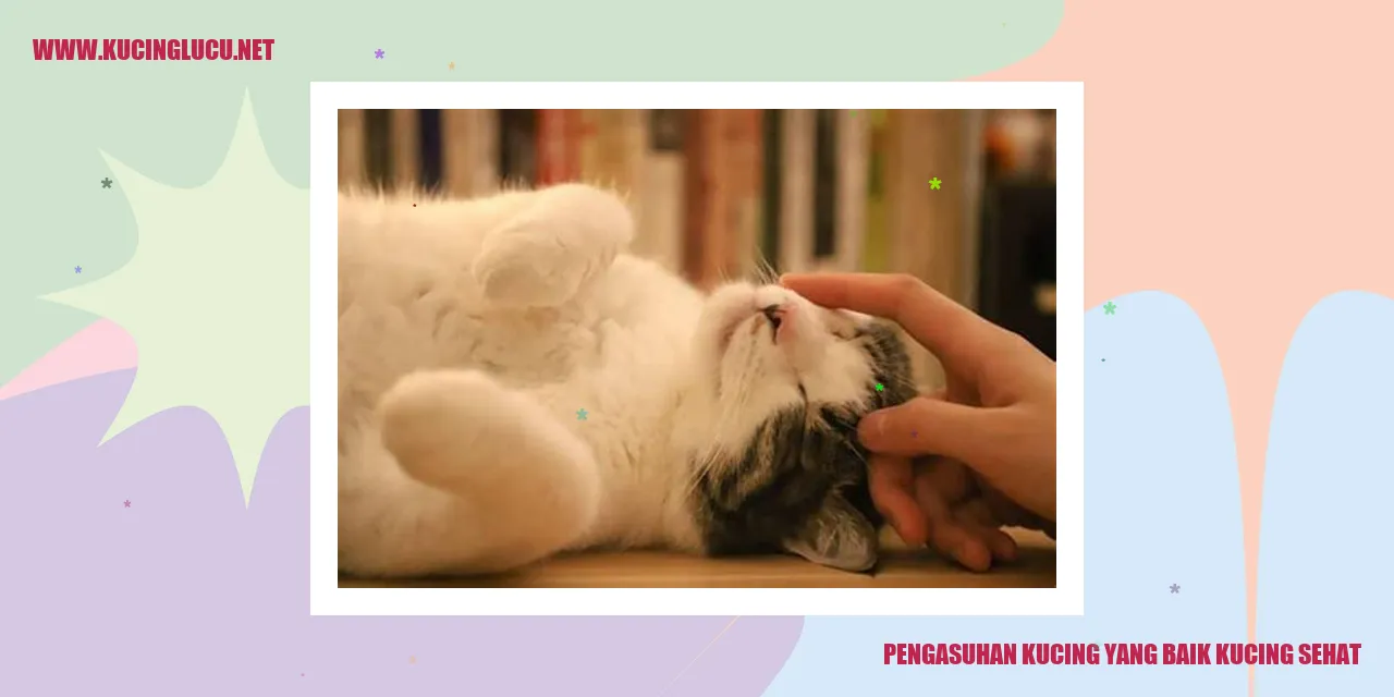 Pengasuhan Kucing yang Baik