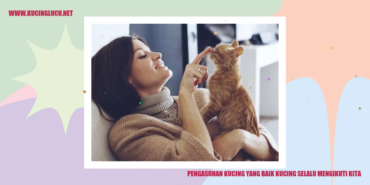 Kucing yang Mengikuti Kita