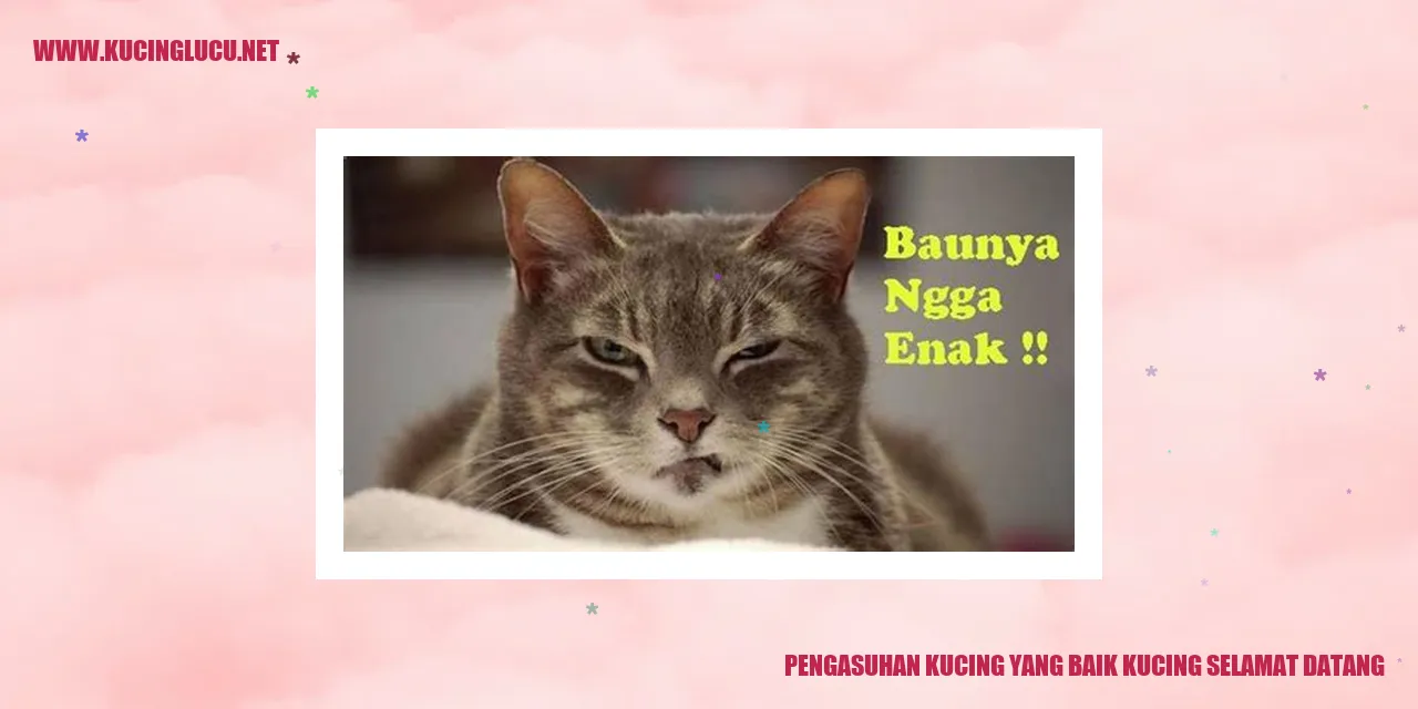Kucing yang Bahagia
