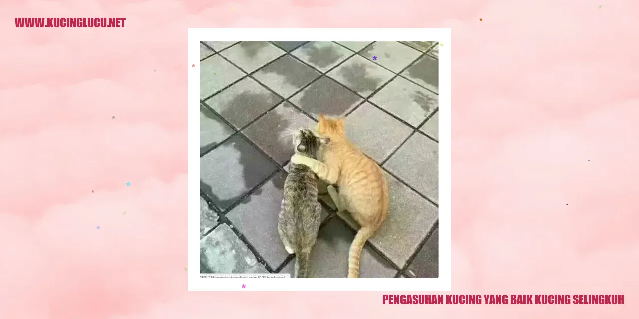 kucing selingkuh