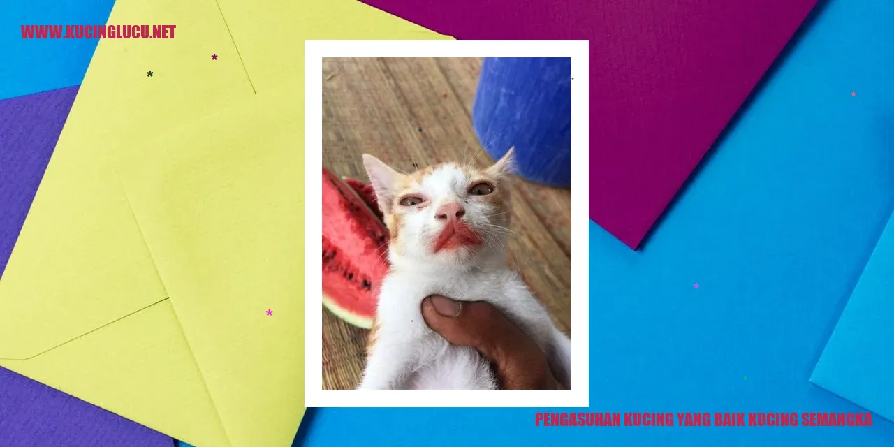 Pengasuhan Kucing yang Baik kucing semangka