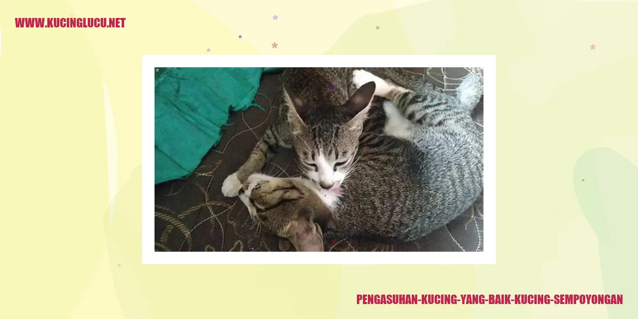 Kucing Sempoyongan