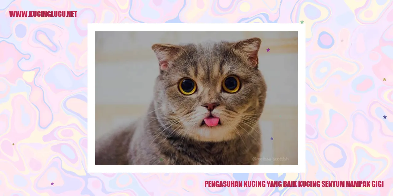 Senyum Kucing yang Menawan