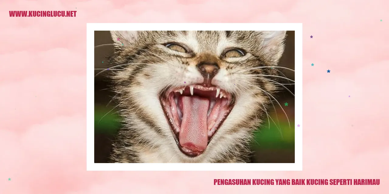 Gambar kucing yang menggemaskan