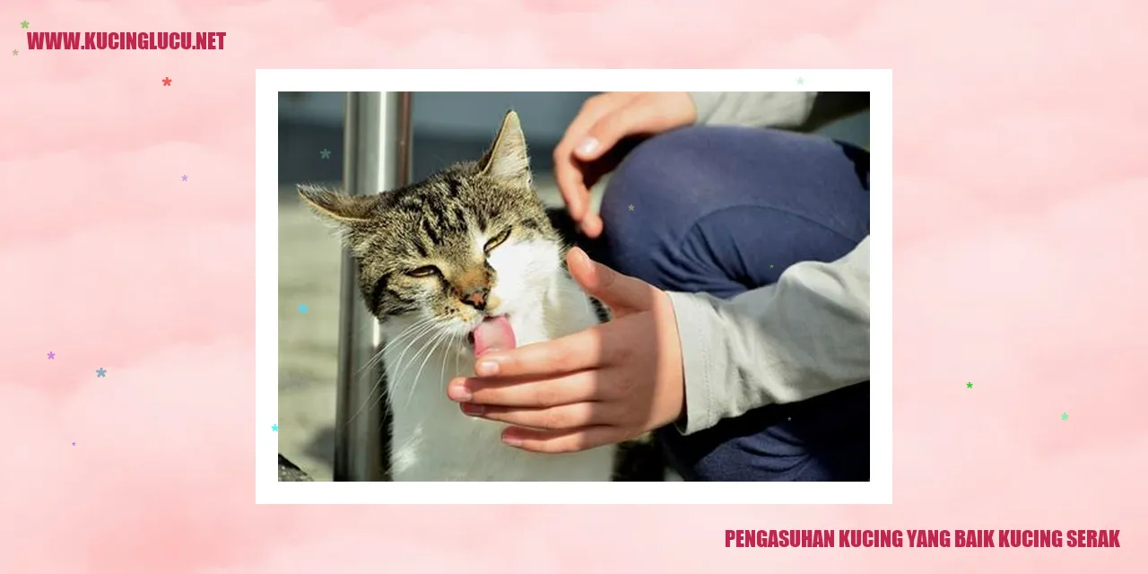 Kucing Serak