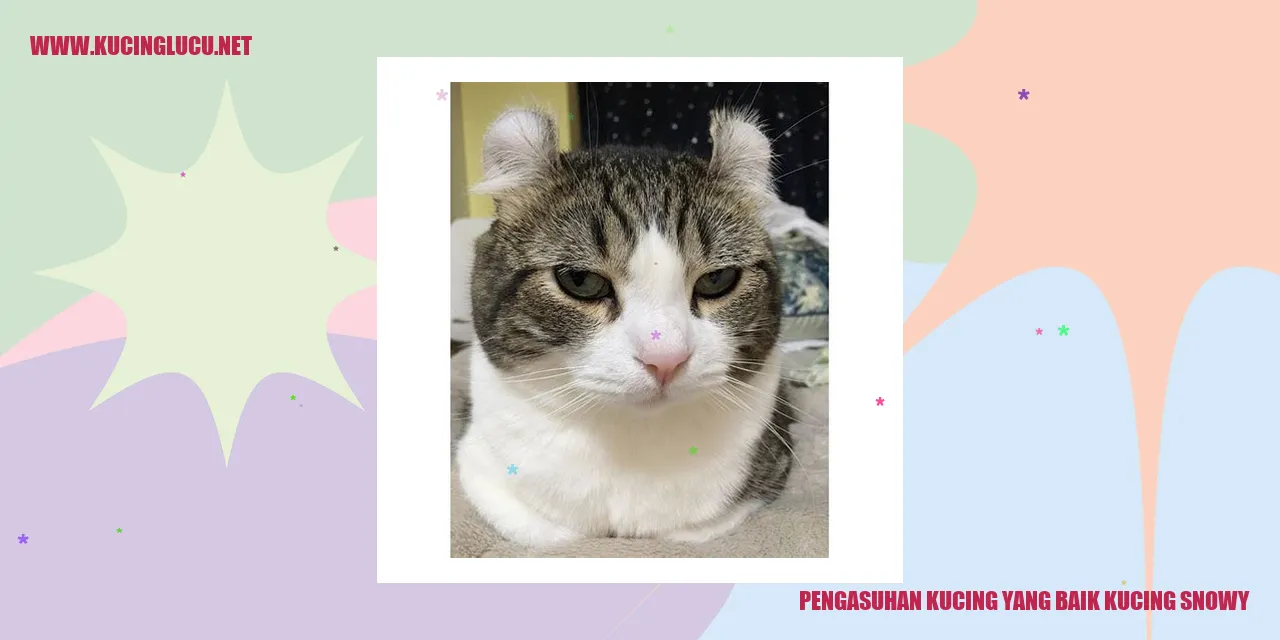Kucing Snowy