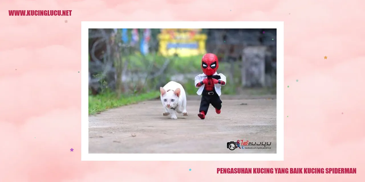 Gambar kucing Spiderman