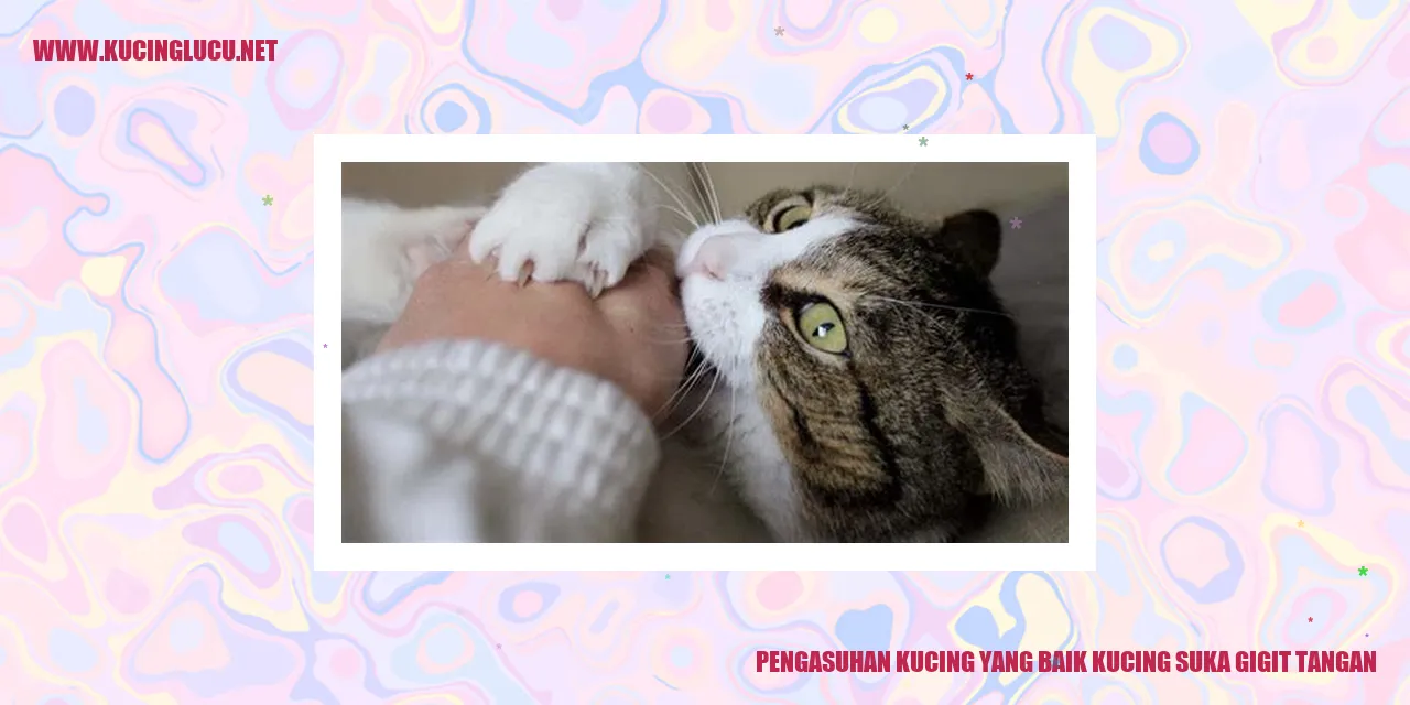 Kucing Menggigit Tangan