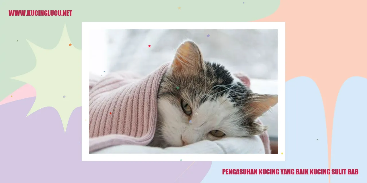 Kucing Makan