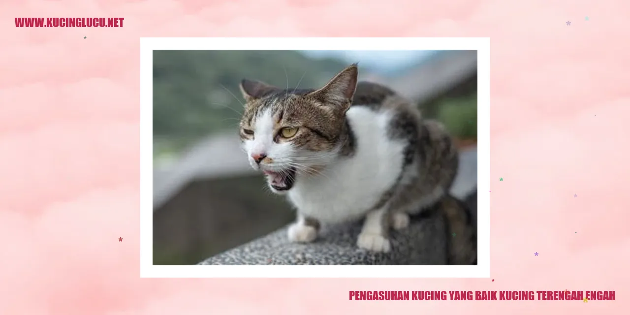 Kucing Terengah-Engah