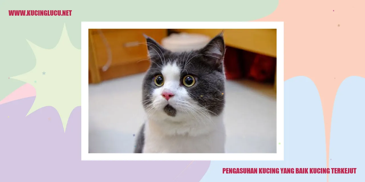Kucing terkejut