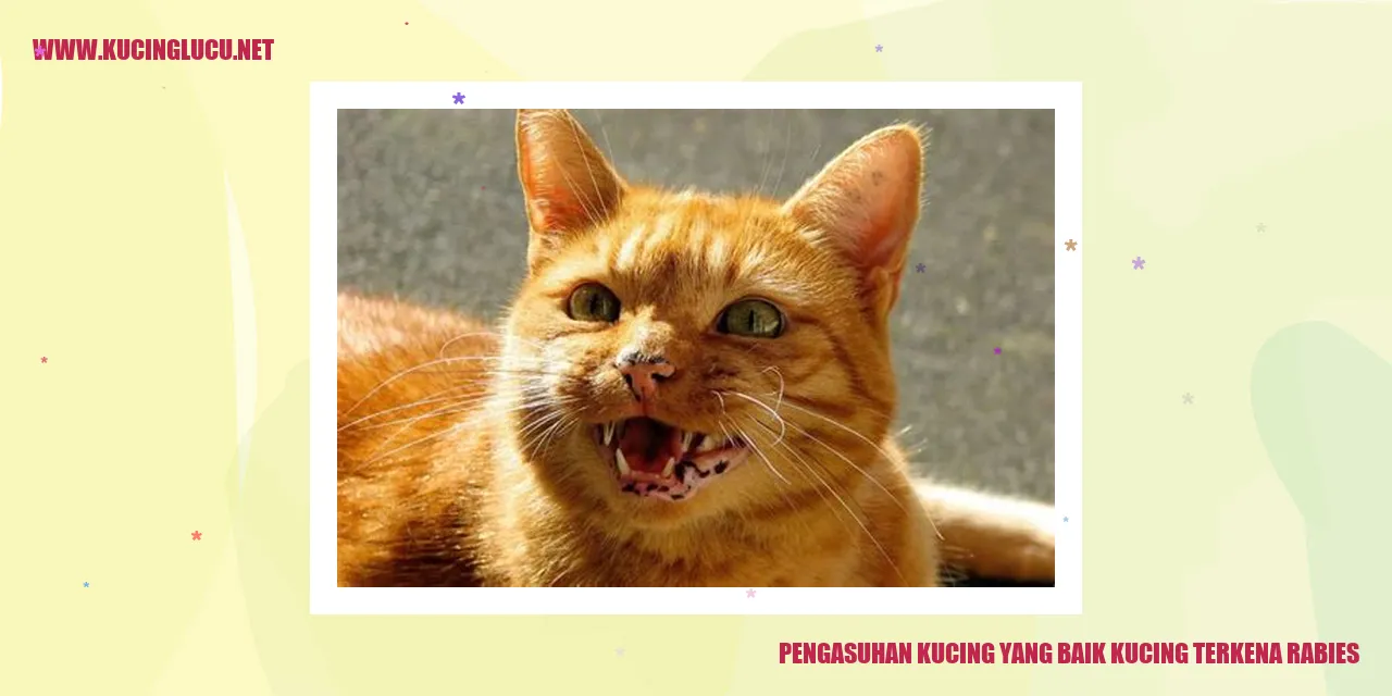 Teknik Merawat Kucing agar Terhindar dari Penyakit Rabies
