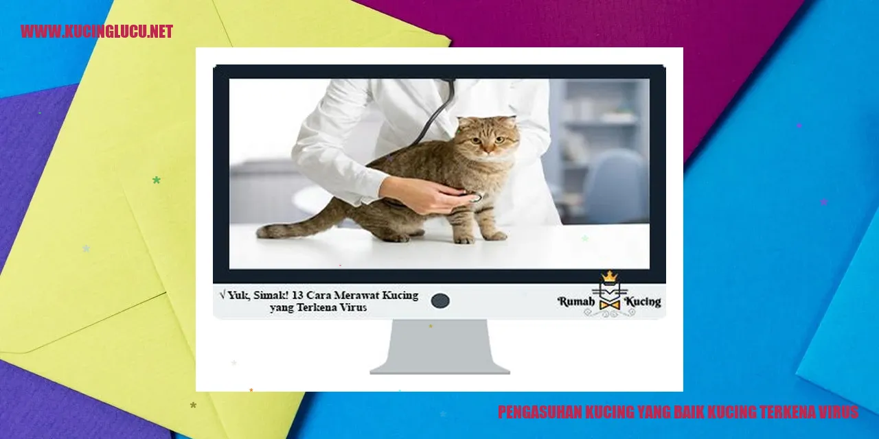 gambar kucing