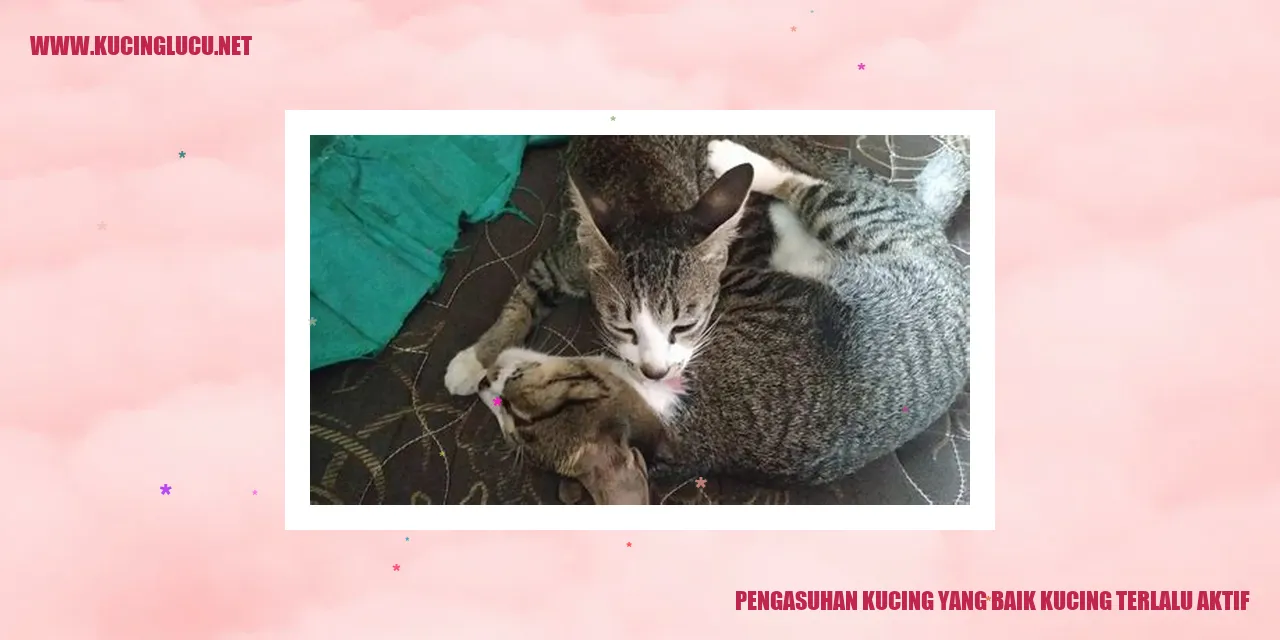 Kucing Sedang Aktif