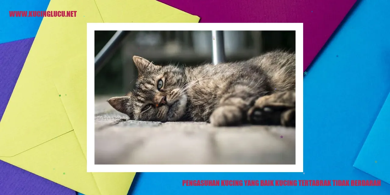 Gambar Kucing Bahagia