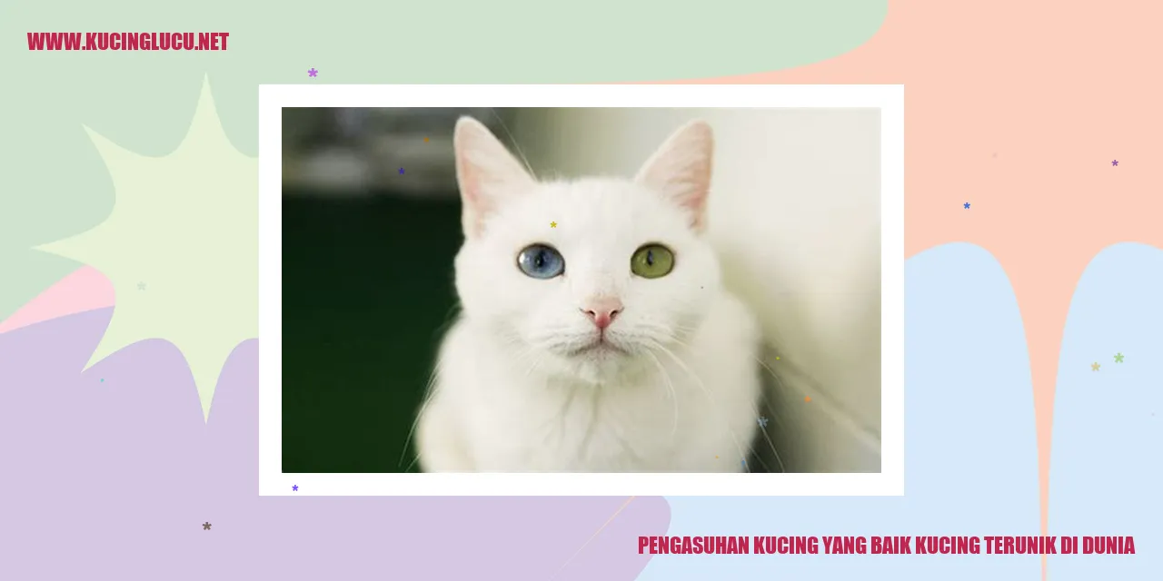 Kucing Menggemaskan