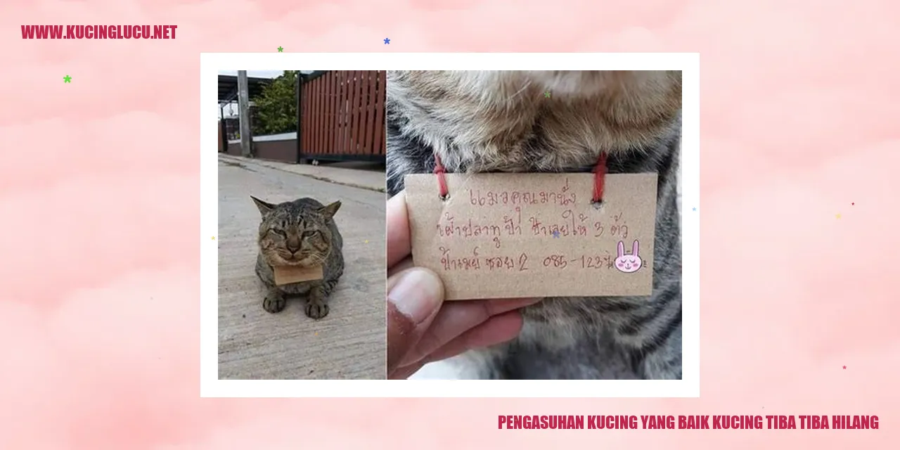Gambar kucing hilang