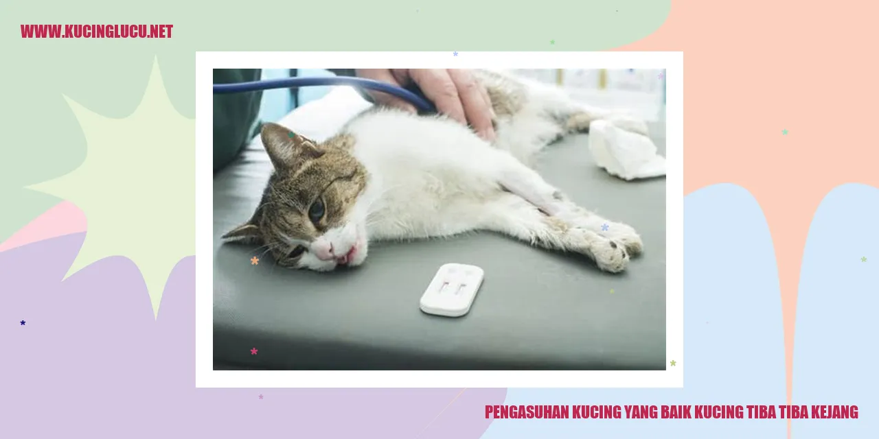 Pengasuhan Kucing yang Baik