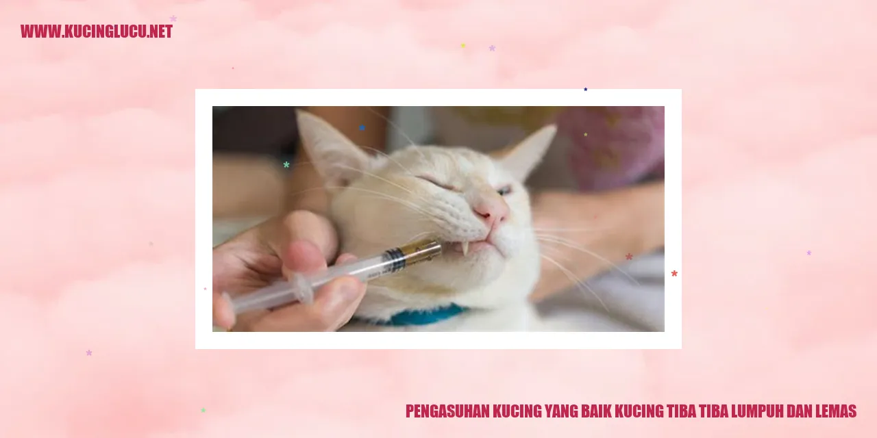Pengasuhan Kucing yang Baik