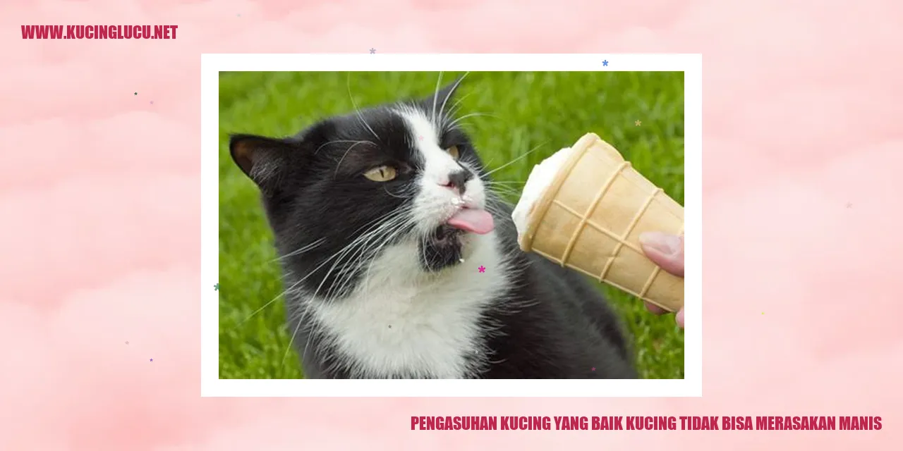 Pengasuhan Kucing yang Baik