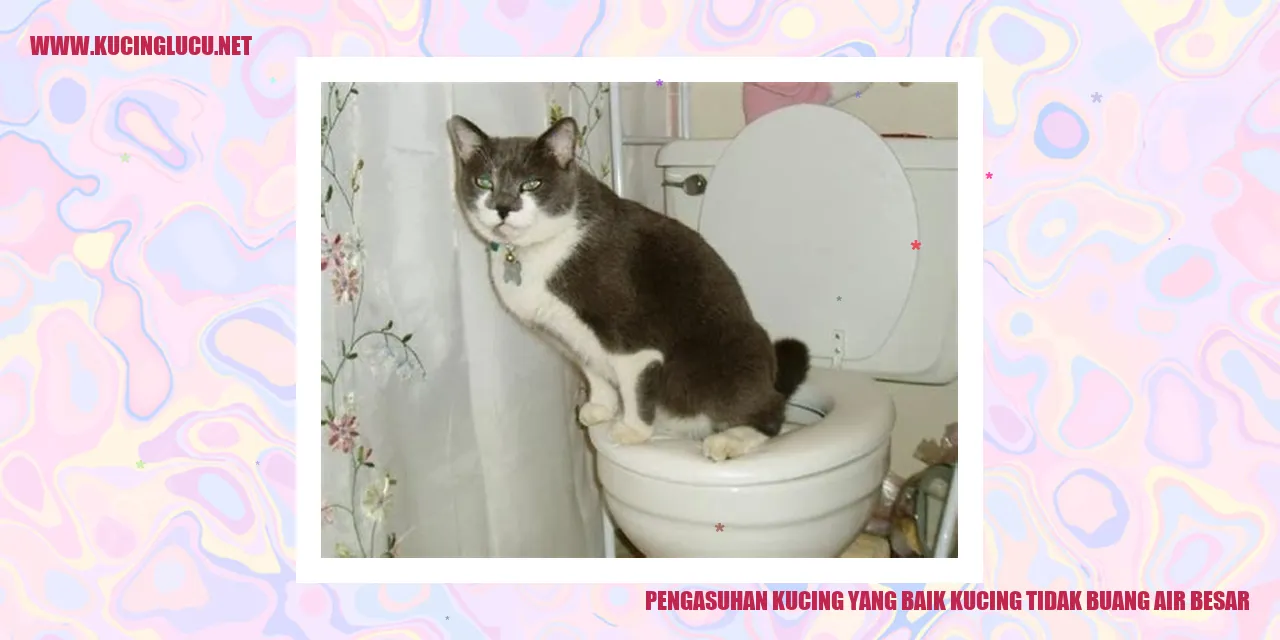 Kucing Sehat dan Bahagia