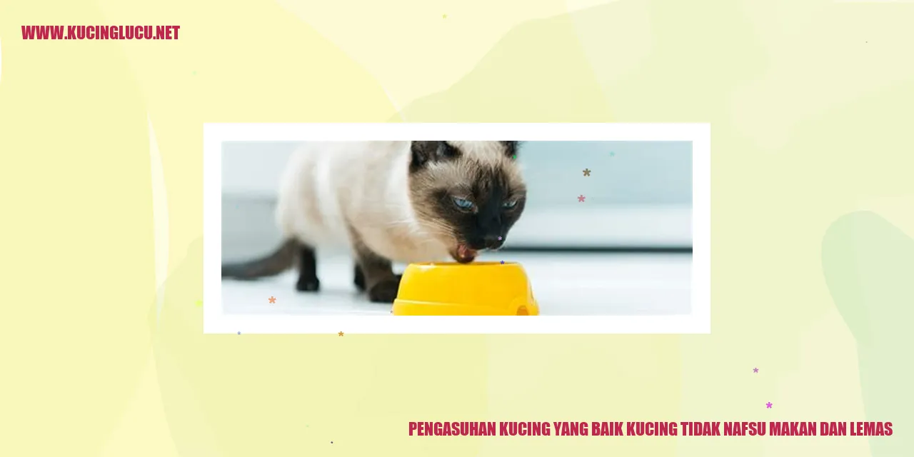 Gambar Kucing Sehat