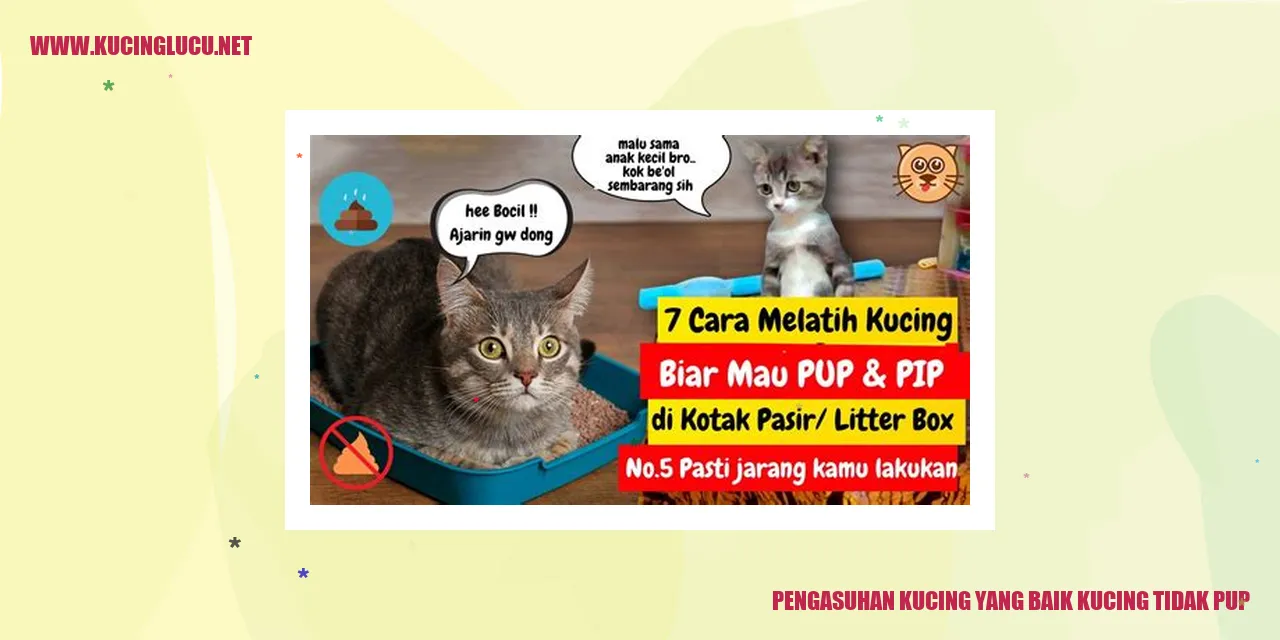 gambar kucing