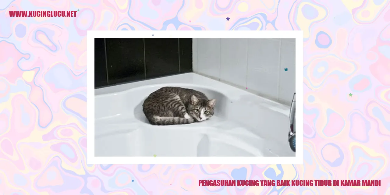kucing tidur di kamar mandi