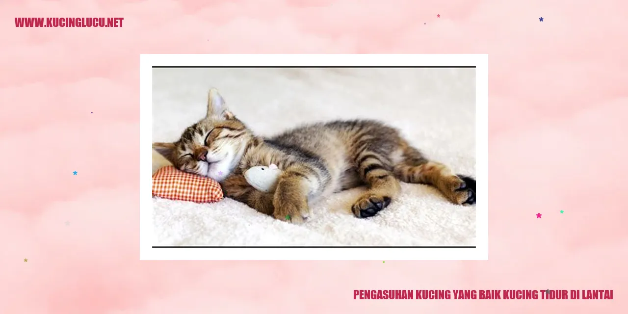 Kucing tidur di lantai