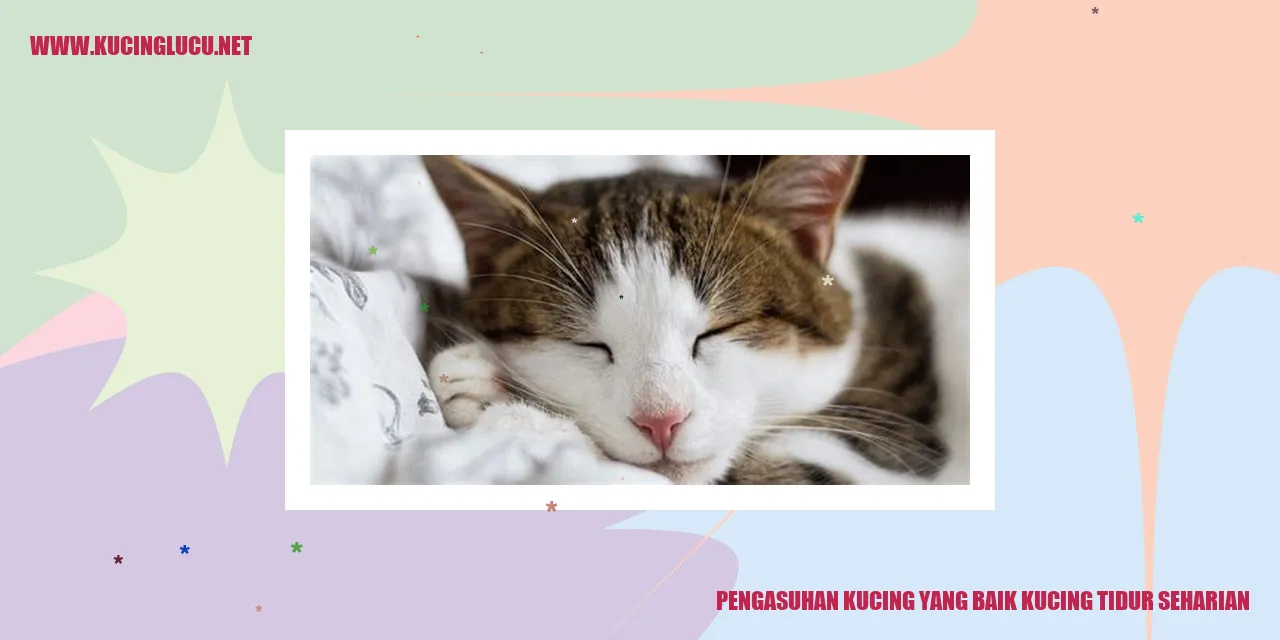 Pengasuhan Kucing yang Baik