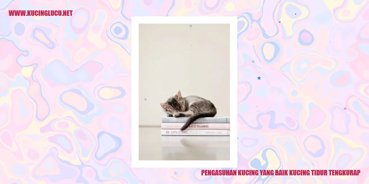 Kucing tidur tengkurap