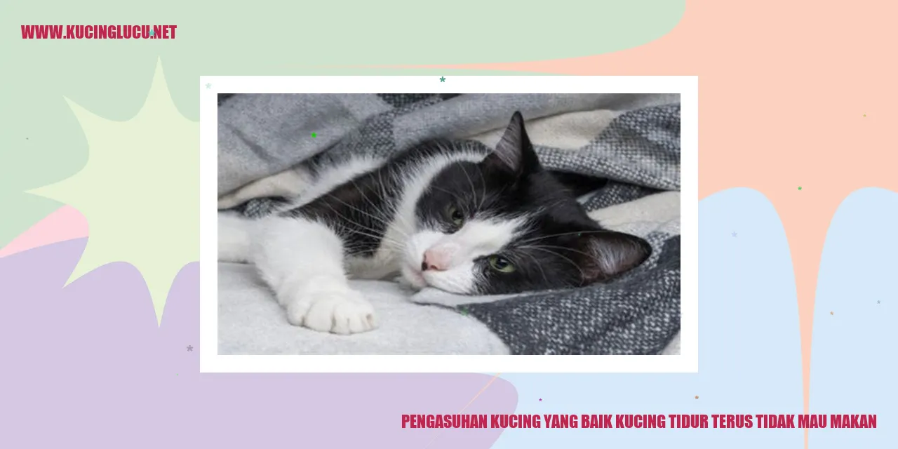Foto Kucing Tidur