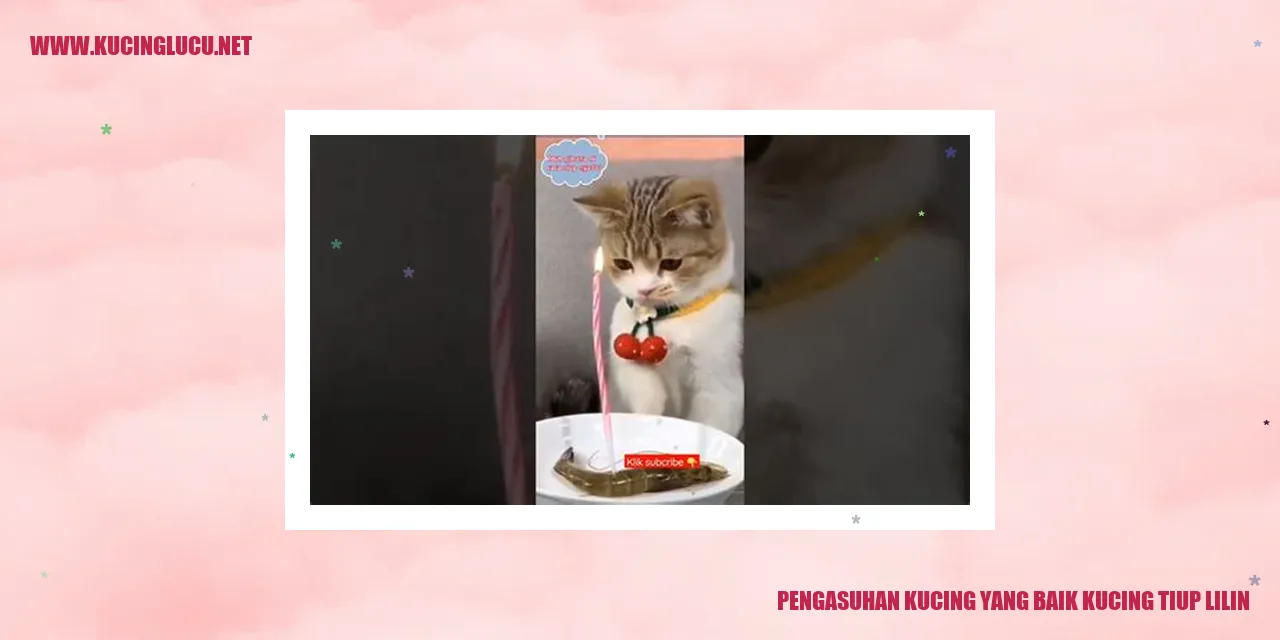Gambar kucing menggemaskan